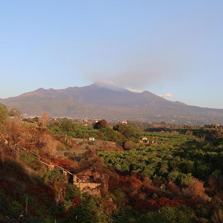 Il Pampaleone Glamping And Resort Acireale Esterno foto