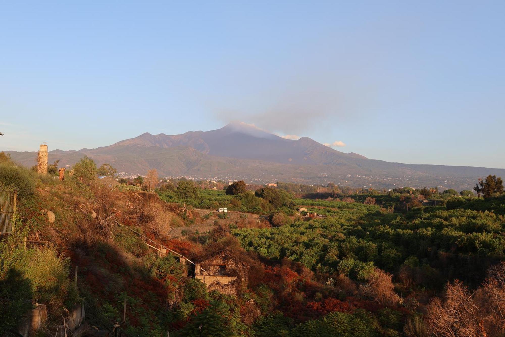 Il Pampaleone Glamping And Resort Acireale Esterno foto